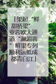 架起“鲜甜桥梁” 亚蓉欧大通道“澜湄蓉”鲜果专列顺利运抵成都青白江
