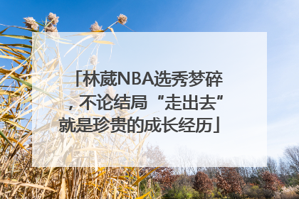 林葳NBA选秀梦碎，不论结局“走出去”就是珍贵的成长经历