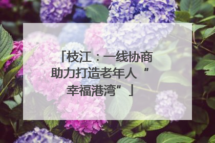 枝江：一线协商助力打造老年人“幸福港湾”