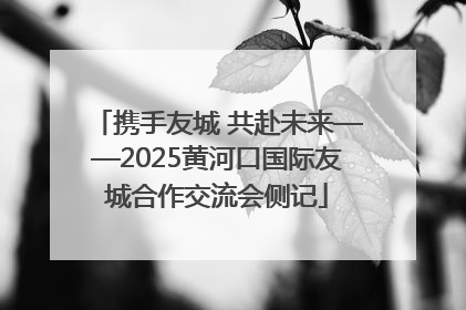 携手友城 共赴未来——2025黄河口国际友城合作交流会侧记