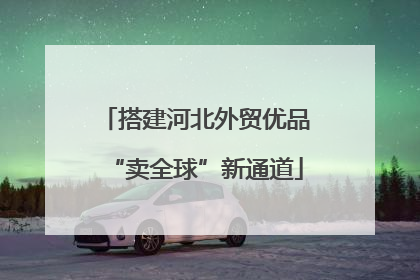 搭建河北外贸优品“卖全球”新通道