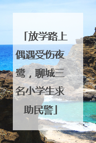 放学路上偶遇受伤夜鹭，聊城三名小学生求助民警