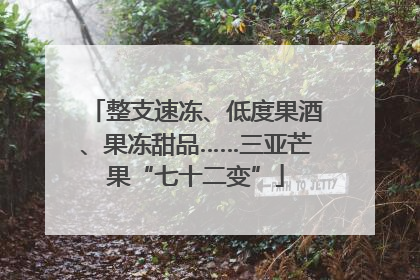 整支速冻、低度果酒、果冻甜品……三亚芒果“七十二变”