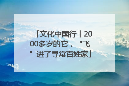 文化中国行丨2000多岁的它，“飞”进了寻常百姓家