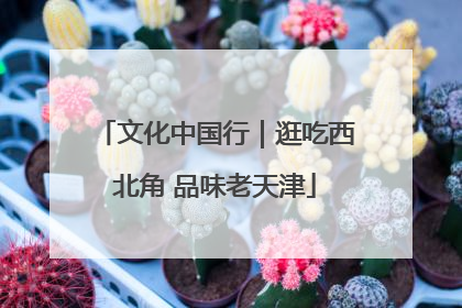 文化中国行｜逛吃西北角 品味老天津