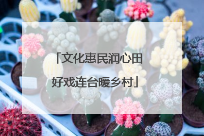 文化惠民润心田 好戏连台暖乡村