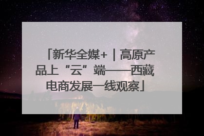 新华全媒+｜高原产品上“云”端——西藏电商发展一线观察