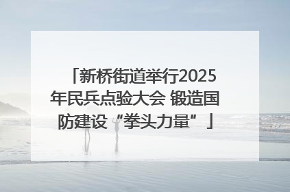 新桥街道举行2025年民兵点验大会 锻造国防建设“拳头力量”