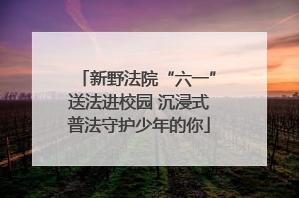 新野法院“六一”送法进校园 沉浸式普法守护少年的你
