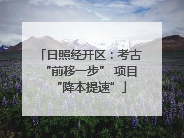 日照经开区：考古“前移一步” 项目“降本提速”