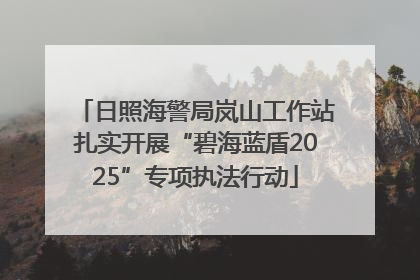 日照海警局岚山工作站扎实开展“碧海蓝盾2025”专项执法行动