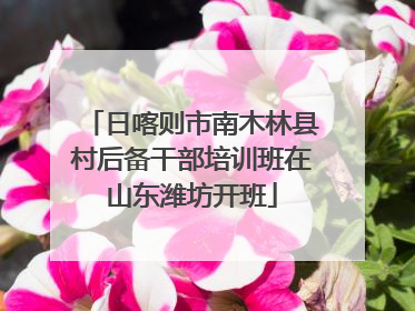 日喀则市南木林县村后备干部培训班在山东潍坊开班