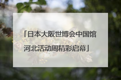 日本大阪世博会中国馆河北活动周精彩启幕