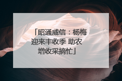 昭通威信：杨梅迎来丰收季 助农增收采摘忙