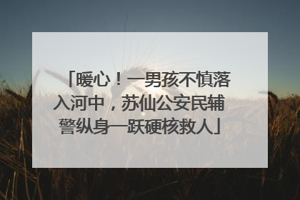 暖心！一男孩不慎落入河中，苏仙公安民辅警纵身一跃硬核救人