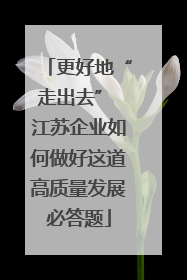 更好地“走出去” 江苏企业如何做好这道高质量发展必答题