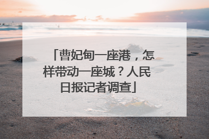 曹妃甸一座港，怎样带动一座城？人民日报记者调查