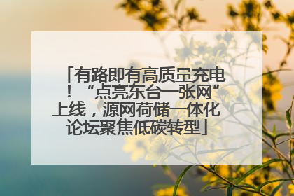 有路即有高质量充电！“点亮东台一张网”上线，源网荷储一体化论坛聚焦低碳转型