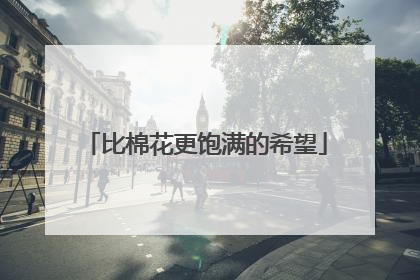 比棉花更饱满的希望