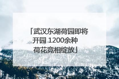 武汉东湖荷园即将开园 1200余种荷花竞相绽放