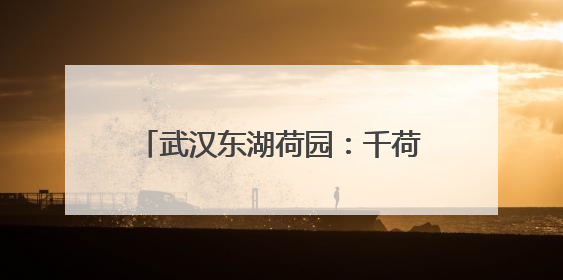 武汉东湖荷园：千荷绽新姿，美景迎客来