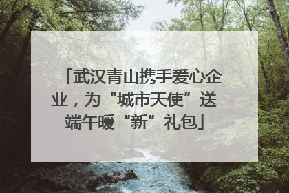 武汉青山携手爱心企业，为“城市天使”送端午暖“新”礼包