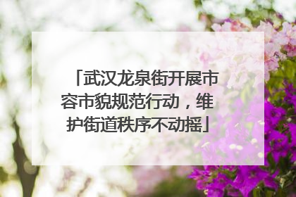 武汉龙泉街开展市容市貌规范行动，维护街道秩序不动摇