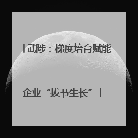 武陟：梯度培育赋能企业“拔节生长”