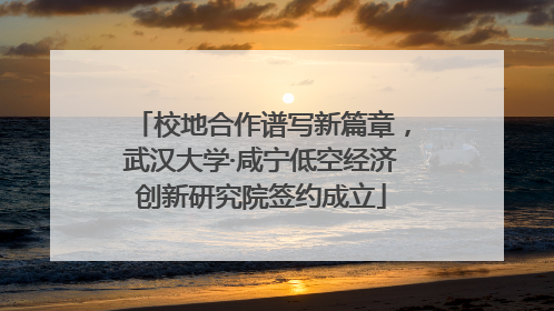 校地合作谱写新篇章，武汉大学·咸宁低空经济创新研究院签约成立