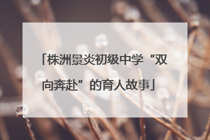 株洲景炎初级中学“双向奔赴”的育人故事