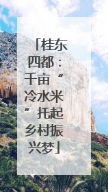 桂东四都：千亩“冷水米”托起乡村振兴梦