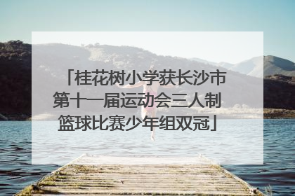 桂花树小学获长沙市第十一届运动会三人制篮球比赛少年组双冠