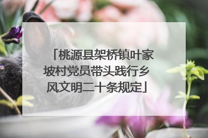 桃源县架桥镇叶家坡村党员带头践行乡风文明二十条规定