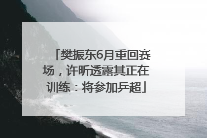 樊振东6月重回赛场，许昕透露其正在训练：将参加乒超