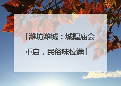 潍坊潍城：城隍庙会重启，民俗味拉满