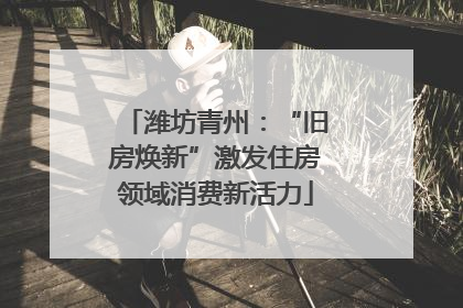 潍坊青州：“旧房焕新”激发住房领域消费新活力