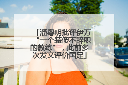 潘粤明批评伊万“一个装傻不辞职的教练”，此前多次发文评价国足