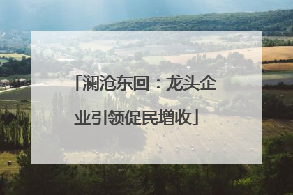 澜沧东回：龙头企业引领促民增收