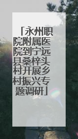 永州职院附属医院到宁远县桑梓头村开展乡村振兴专题调研