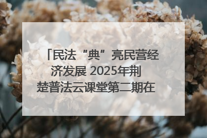 民法“典”亮民营经济发展 2025年荆楚普法云课堂第二期在武汉客厅开讲