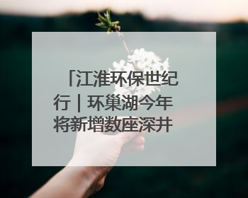 江淮环保世纪行｜环巢湖今年将新增数座深井控藻平台