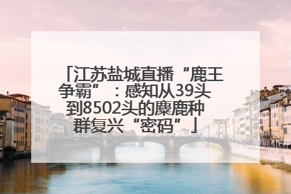 江苏盐城直播“鹿王争霸”：感知从39头到8502头的麋鹿种群复兴“密码”
