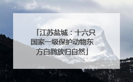 江苏盐城：十六只国家一级保护动物东方白鹳放归自然