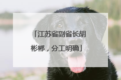 江苏省副省长胡彬郴，分工明确