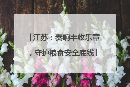 江苏：奏响丰收乐章，守护粮食安全底线
