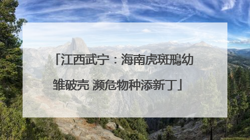 江西武宁：海南虎斑鳽幼雏破壳 濒危物种添新丁