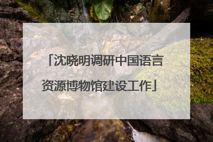 沈晓明调研中国语言资源博物馆建设工作