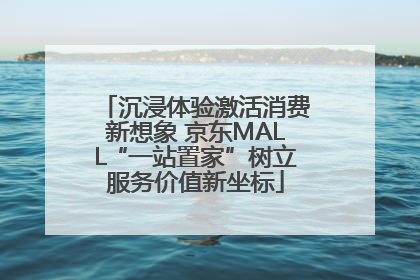 沉浸体验激活消费新想象 京东MALL“一站置家”树立服务价值新坐标