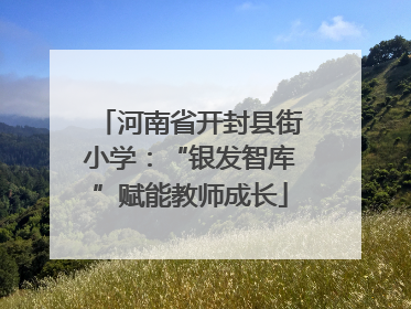 河南省开封县街小学：“银发智库”赋能教师成长