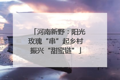 河南新野：阳光玫瑰“串”起乡村振兴“甜蜜链”